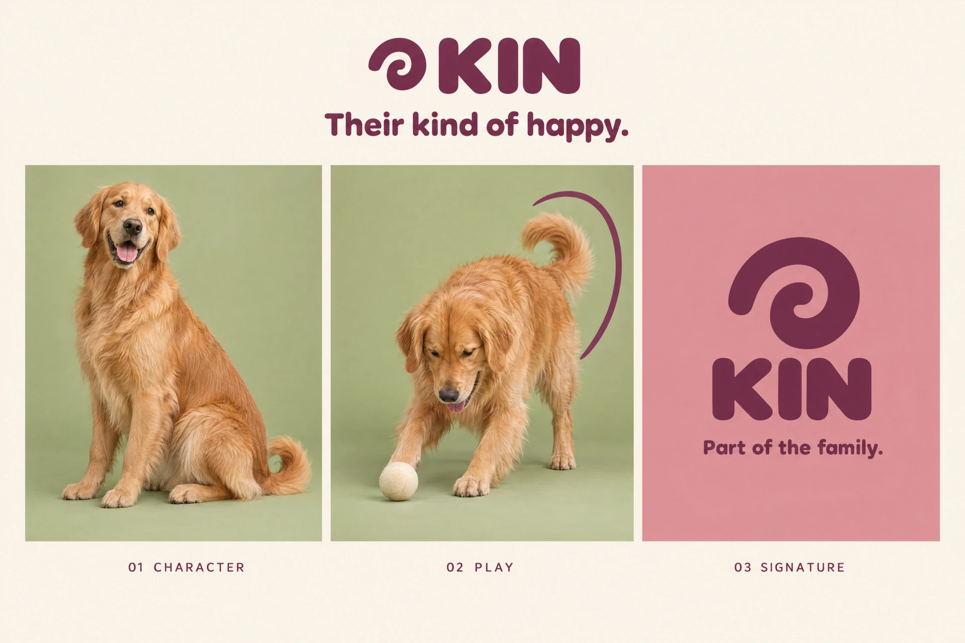 KIN Storyboard concept